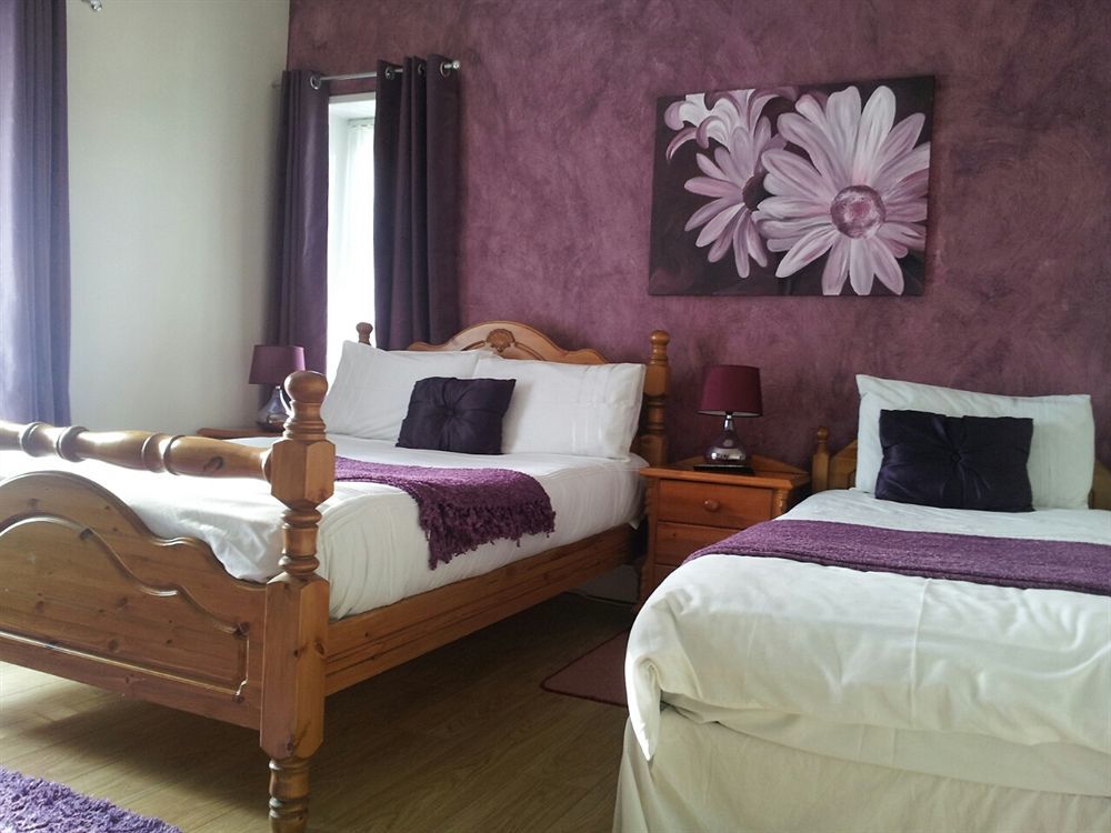 ロンドンデリー Rose Park House Bed & Breakfast エクステリア 写真